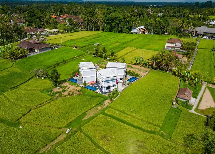 Maple Ridge - Private Pool & Rice Field View Ubud