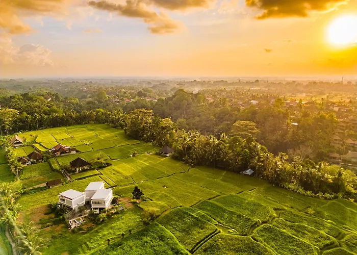Maple Ridge - Private Pool & Rice Field View
