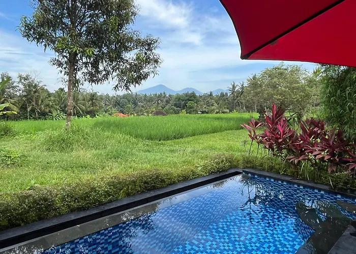 Maple Ridge - Private Pool & Rice Field View Villa