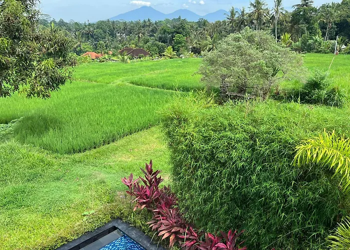Maple Ridge - Private Pool & Rice Field View Villa
