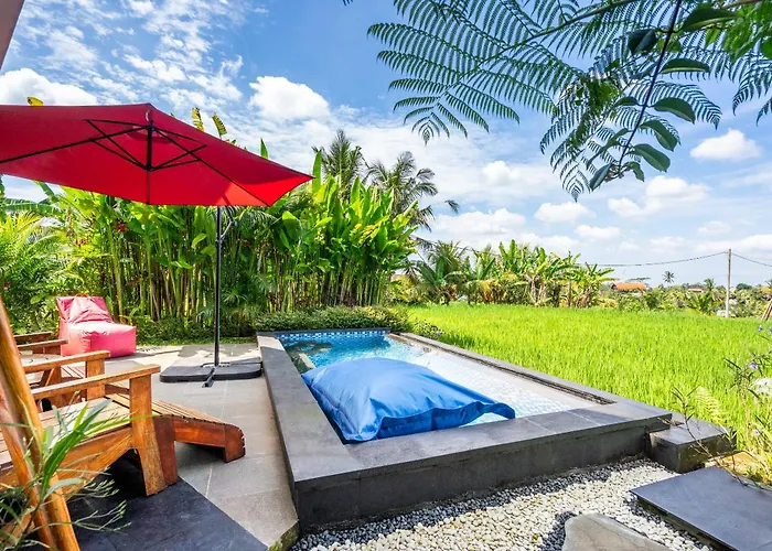 Maple Ridge - Private Pool & Rice Field View * Ubud