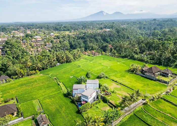 Maple Ridge - Private Pool & Rice Field View Ubud