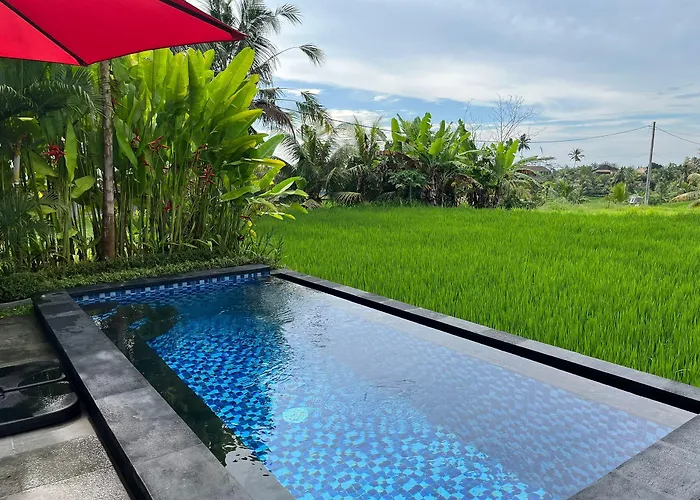 Maple Ridge - Private Pool & Rice Field View * Ubud